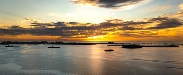 Dunedin Sunset