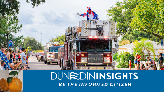 Dunedin Insights