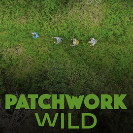 Patchwork Wild, Documentary