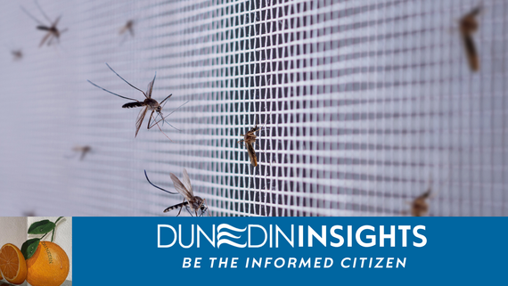Mosquito Control