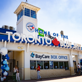 Dunedin Blue Jays