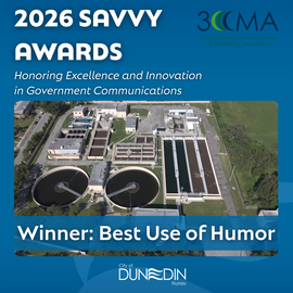 Savvy Award