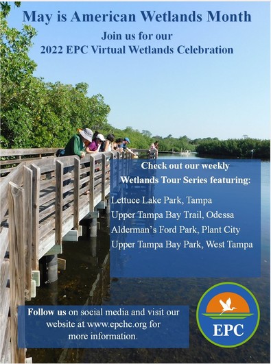 May is Wetlands Month Flyer