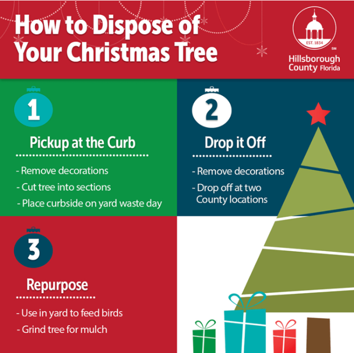 HC Xmas Tree Disposal guide