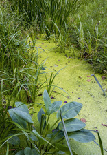 Fertilizer image