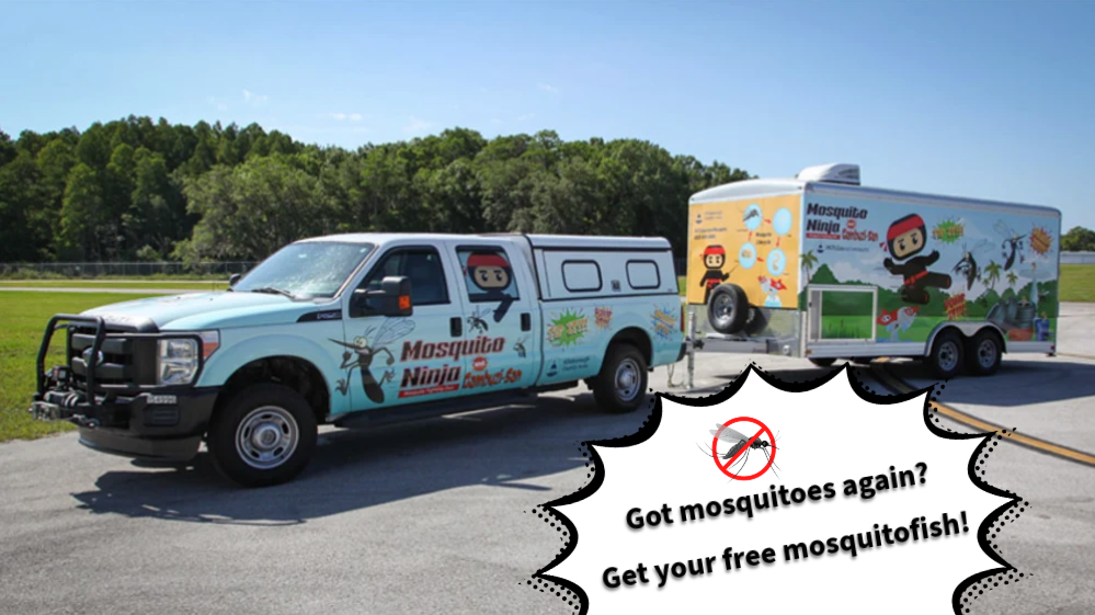 Mosquitofish giveaway with caption - 1