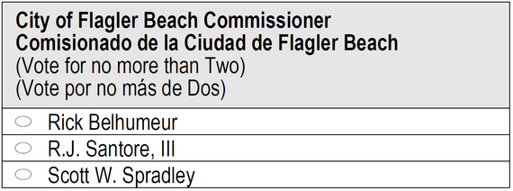 Flagler Beach Sample Ballot