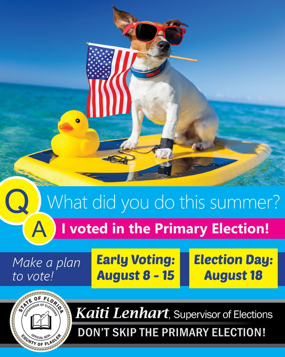 I voted this summer!
