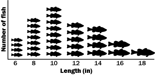 Bass population sorted by size