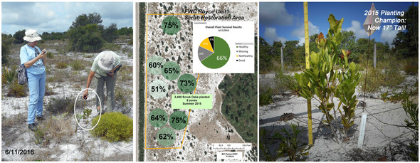 Composite showing plant survey, results, and champion plant