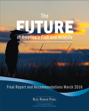 Cover of the Blue Ribbon Panel's Report