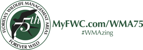 Logo - WMA 75th Anniversary