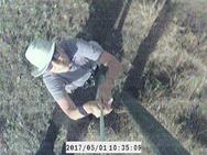 Ridge Rangers Uses a Peeper Camera to check a Kestrel Nest Box