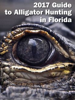 2017 Guide to Alligator Hunting in Florida
