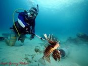 lionfish by jimmy nelson