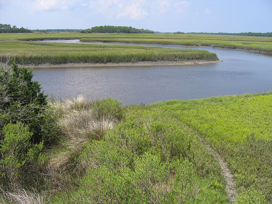 Beautiful view at Guana River WMA