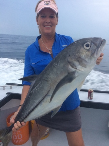 record horse-eye jack