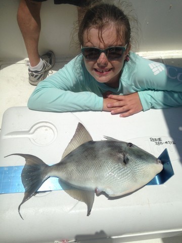 reel big fish winner