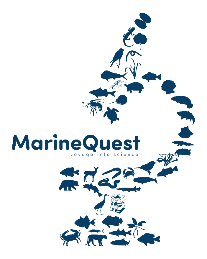 MarineQuest logo