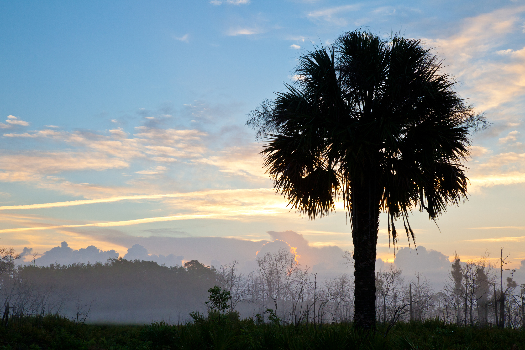 tosohatchee photo