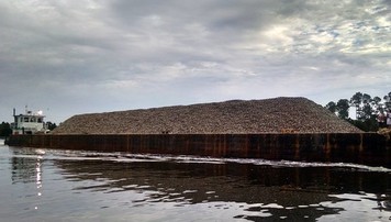 Oyster shell on barge