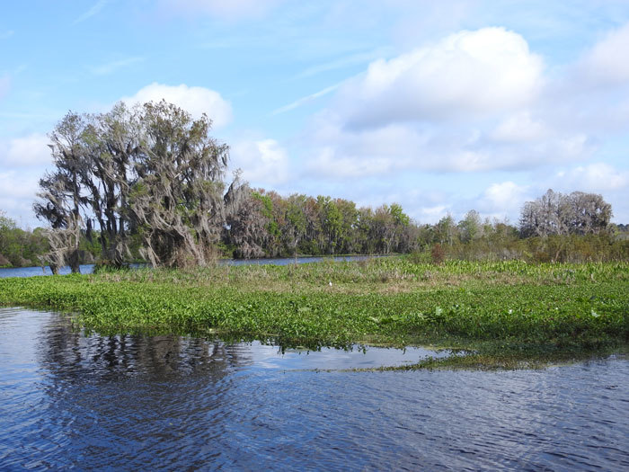 FWC hosts meeting about Lake Rousseau