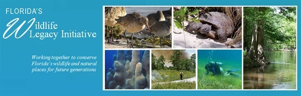 Florida's Wildlife Legacy Initiative Banner