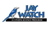 Jay Watch Logo