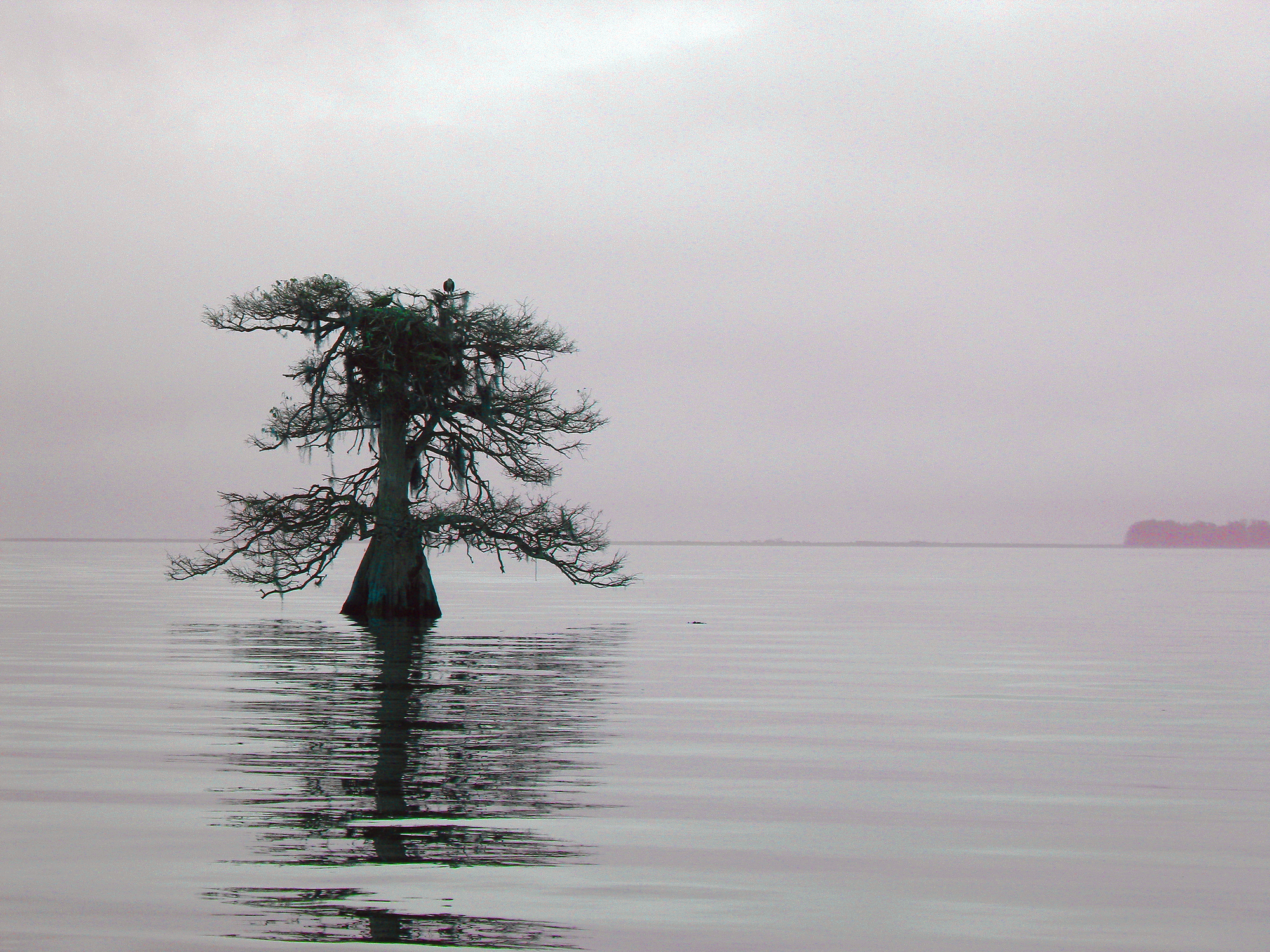 Lake Istokpoga