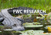 mu_fwc research