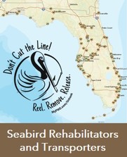 Seabird Rehabilitators and Transporters