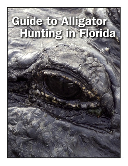 Alligator Guide