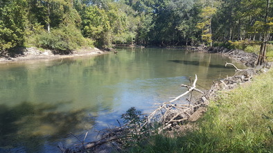 Chipola River Restoration