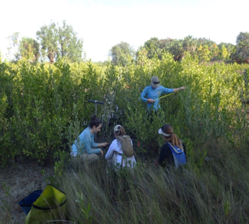 Coastal Habitat Integrated Mapping and Monitoring Program 