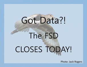 FSD Closed