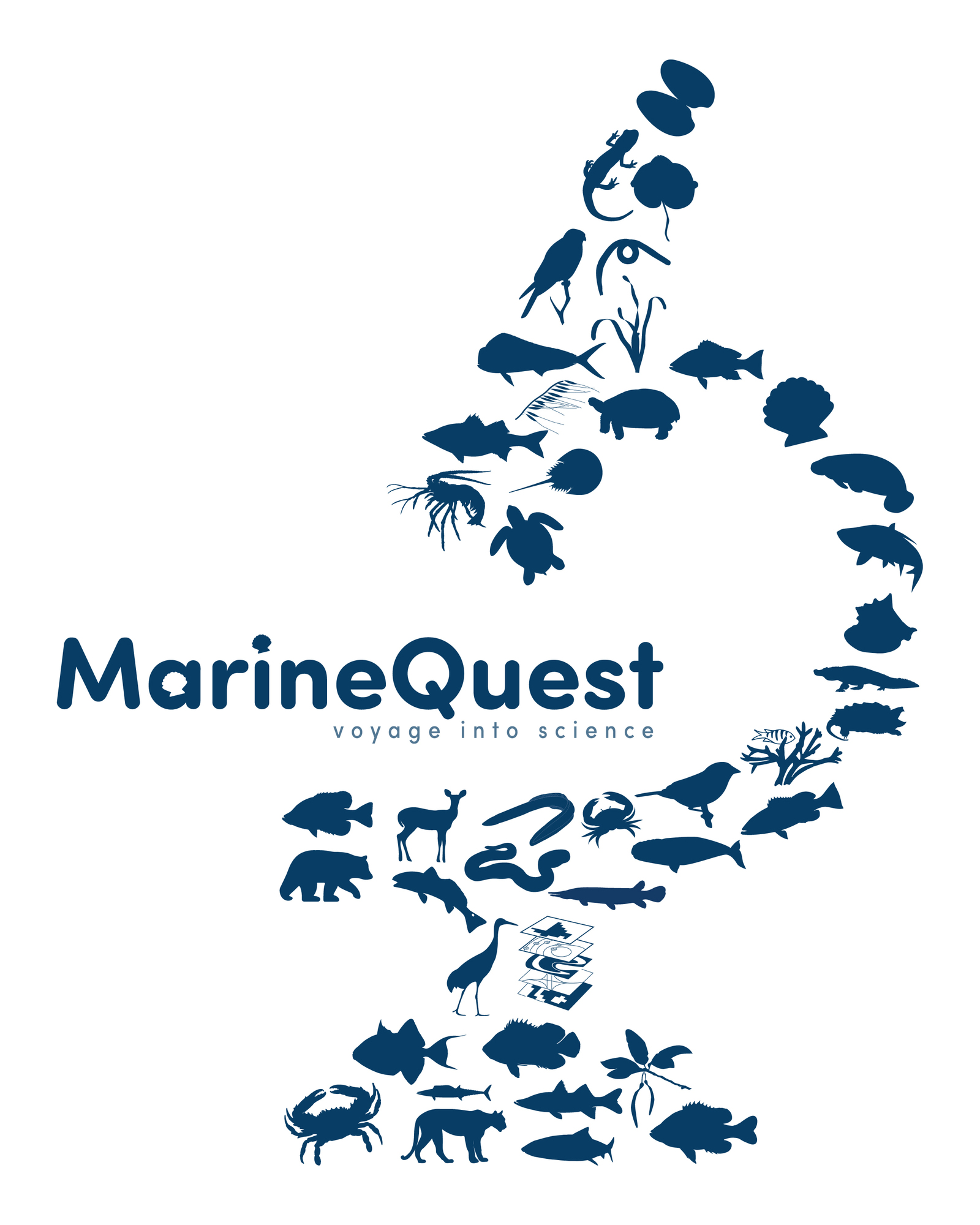 marinequest logo
