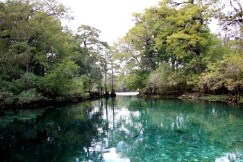 Fanning Springs State Park