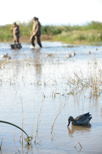 Youth waterfowling
