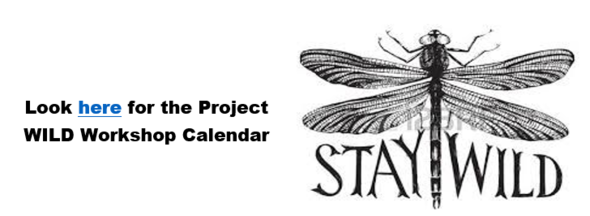 WILD Workshop Calendar Link Announcement