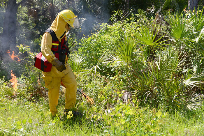 prescribed burn being started