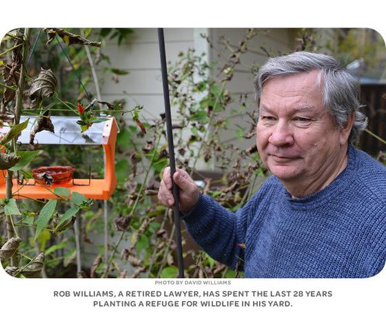 Rob Williams, a retired lawyer, has spent the last 28 years planting a refuge for wildlife in his yard.