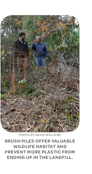 Brush piles offer valuable wildlife habitat and prevent more plastic from ending up in the landfill.