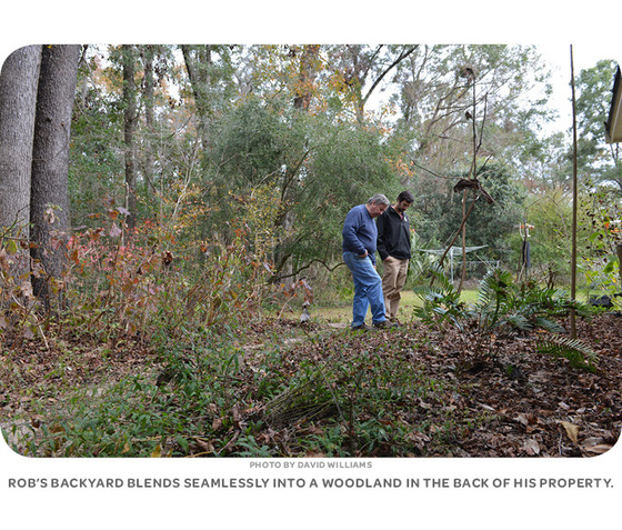 Rob's backyard blends seamlessly into a woodland in the back of his property