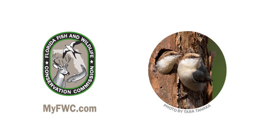 FWC Logo, myfwc.com and nuthatch photo by Tara Tanaka