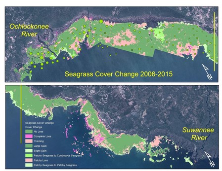 Seagrass Coverage Map