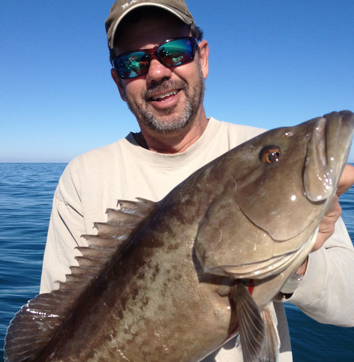 gag grouper landed