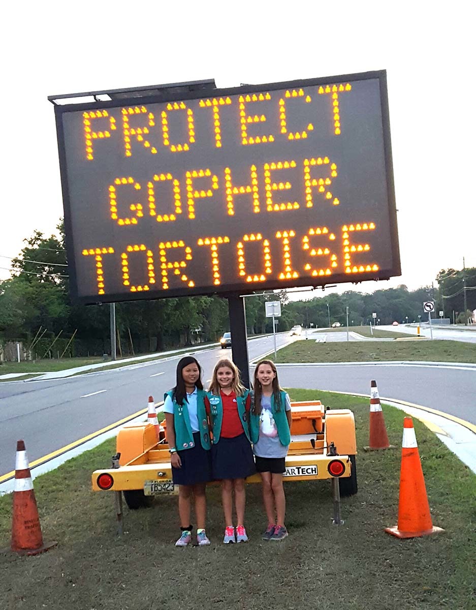 Protect Gopher Tortoise