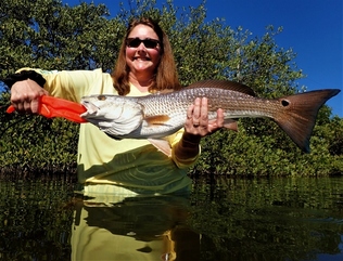 red drum janet jordan