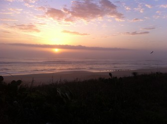 Distant shorebirds and a beautiful sunrise on the beach. Photo courtesy of Celena Cline, FDEP