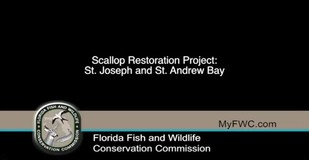 Restoration project overview